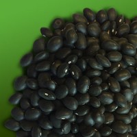 Porotos_negros