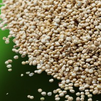 min-quinoa-blanca